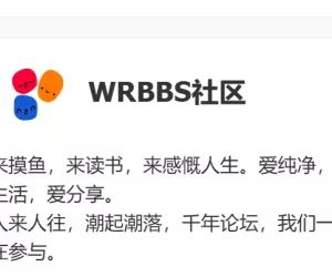 N7模版门户首页右上DIY论坛信息